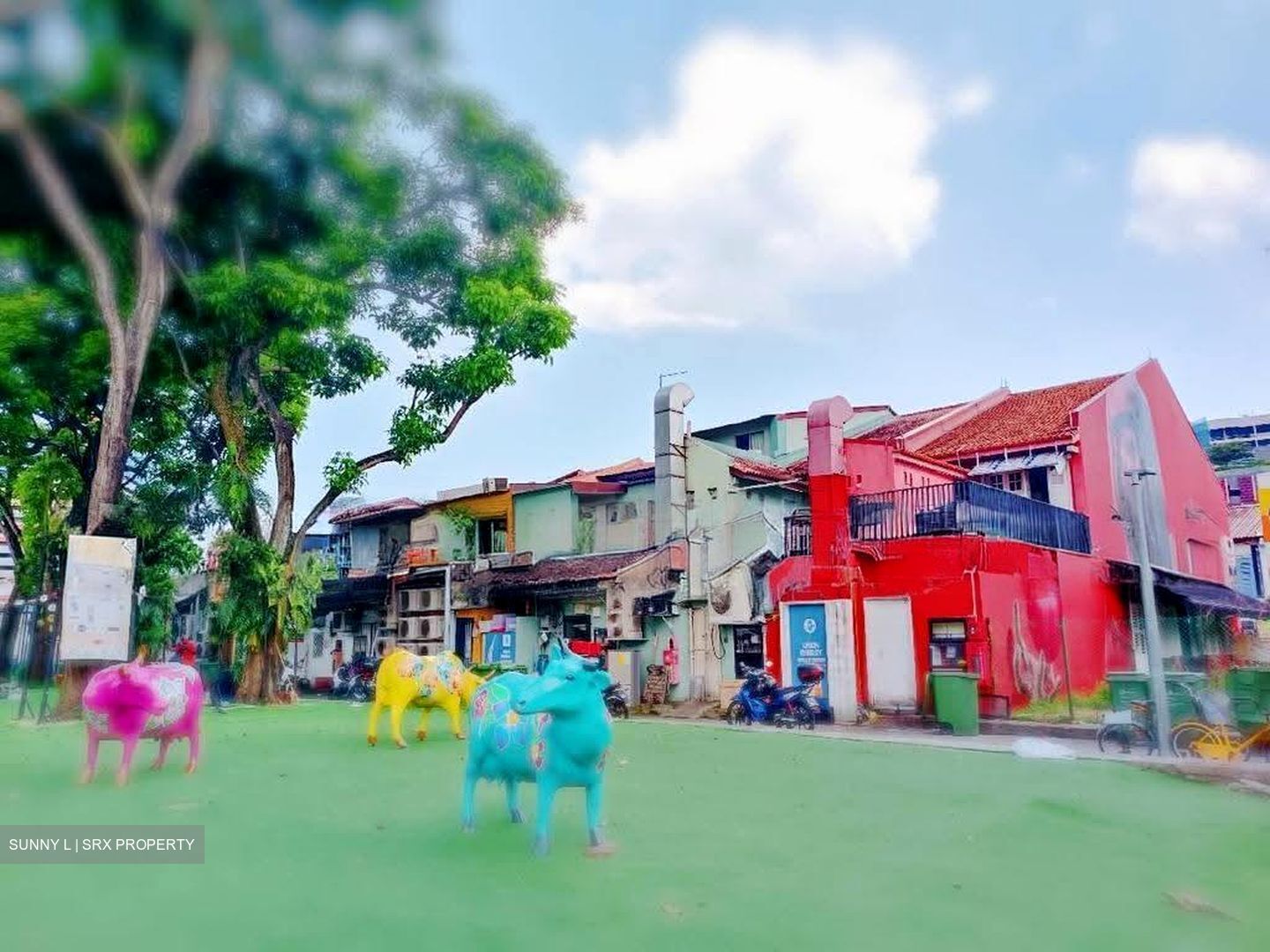 Little India Conservation Area (D8), Shop House #614451601